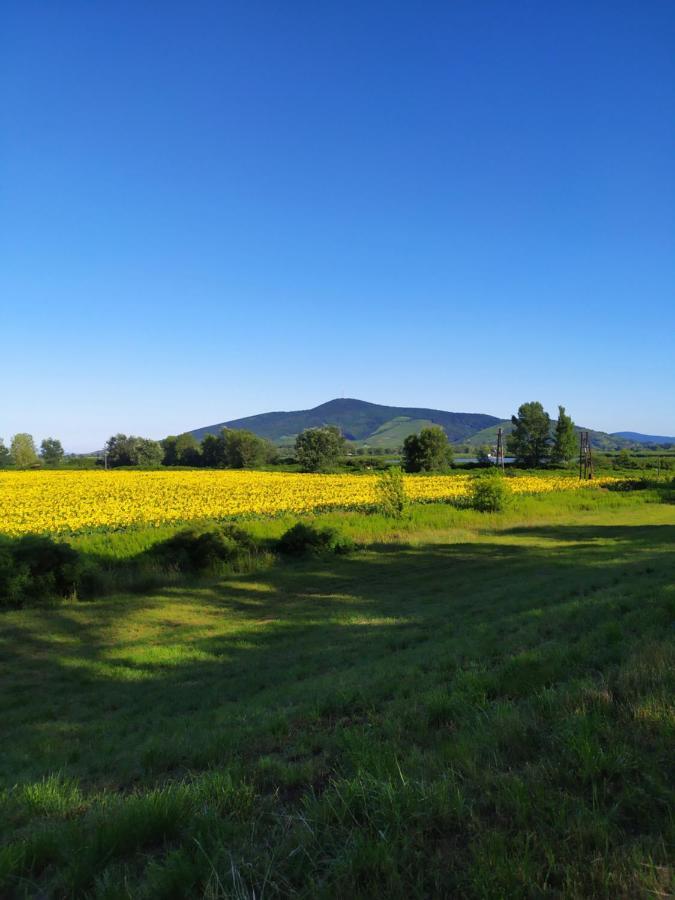 Napraforgo Apartman Tokaj Lägenhet Exteriör bild